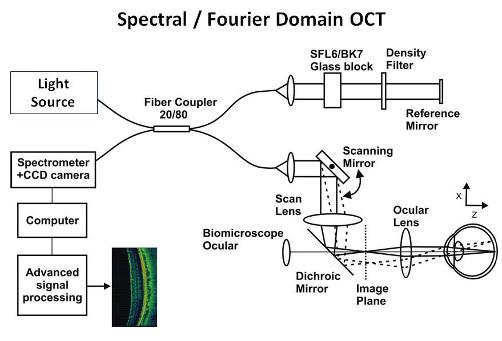 Schematic of a Spectral / Fourier Domain OCT system for human retinal imaging. 