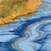 How to clean up oil spills