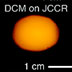 Twenty-Fold Enhancement of Molecular Fluorescence by Coupling to a J‑Aggregate Critically Coupled Resonator (ACS Nano)
