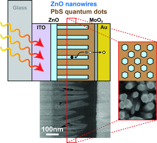 ZnO Nanowire Arrays for Enhanced Photocurrent in PbS Quantum Dot Solar Cells (Advanced Materials)