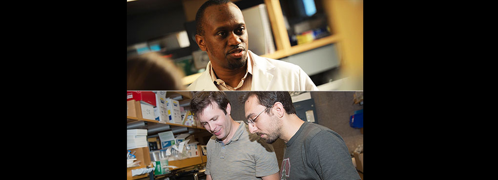 Stultz and Voldman are selected for Faculty Research Innovation Fellowships (FRIFs)
