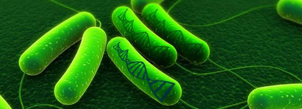Bacteria become “genomic tape recorders”