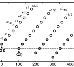 Ultracold Dipolar Gas of Fermionic Na23K40 Molecules in Their Absolute Ground State (Phys. Rev. Lett.)
