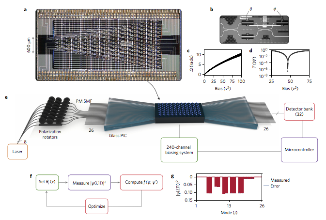Quantum transport simulations in a programmable nanophotonic processor