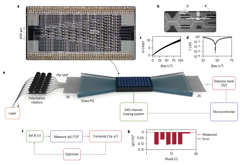 Quantum transport simulations in a programmable nanophotonic processor