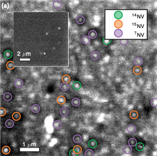 Optical coherence of diamond nitrogen-vacancy centers formed by ion implantation and annealing