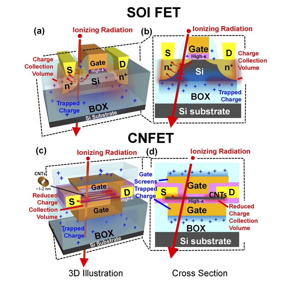 Carbon Nanotubes for Radiation-Tolerant Electronics