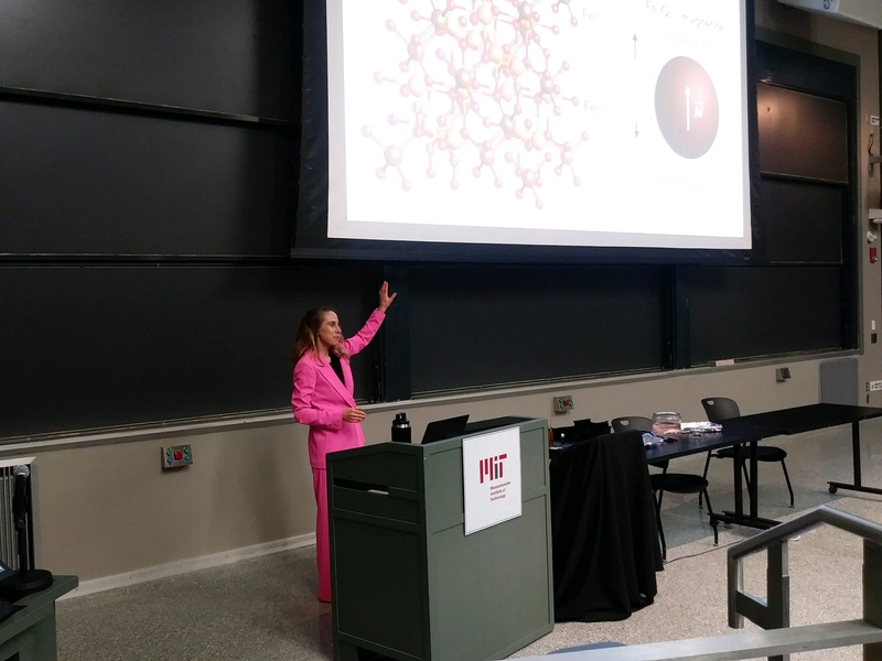 Is it neuroscience? Chemistry? Art? Wulff Lecture shows versatility, diversity in materials science